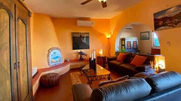 TV connectée, cheminée, livres, vidéothÚque