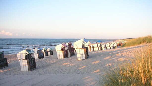 Ein Strand mit Reihen von Liegen und Sonnenschirmen.