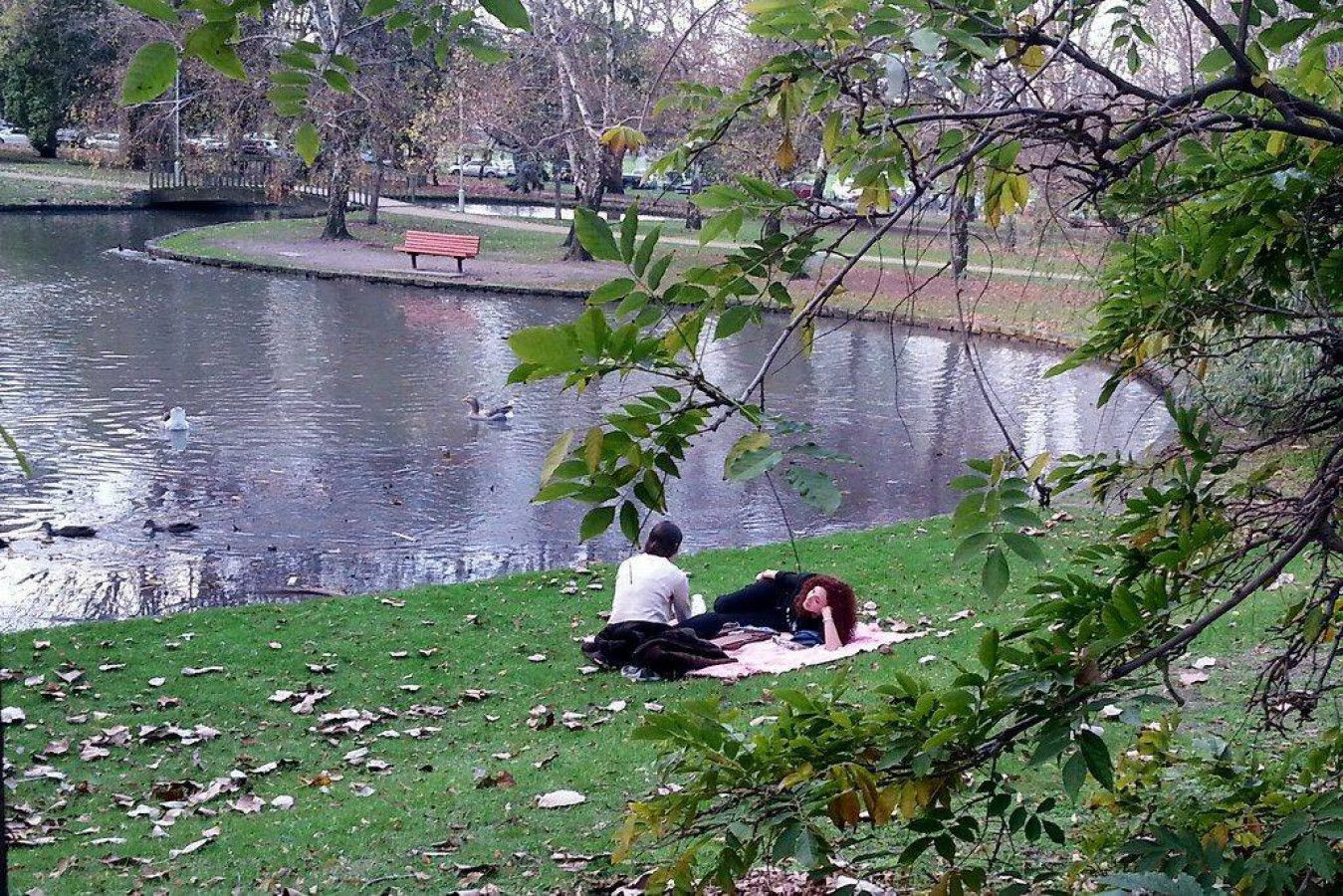 A park with a pond, benches, and trees.