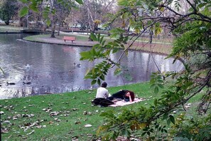 Un parc amb un estany, bancs i arbres.
