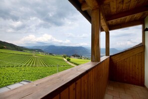 Property grounds - Apartment 'Harmony Apt 1' with Mountain View, Shared Garden and Wi-Fi (Appiano)
