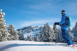 Sneeuw- en skisporten
