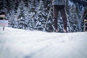 Sneeuw- en skisporten