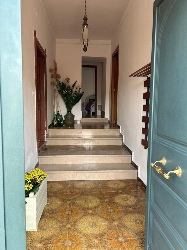 A hallway with a blue door, a staircase, and a potted plant.
