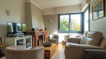 Télévision, cheminée, lecteur de DVD