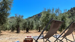 A pair of lounge chairs in an outdoor setting with a view of olive trees and a hilly landscape. - Villa 'Meridiana Case Al Mare' with Sea View, Private Terrace and Air Conditioning (Mattinata)