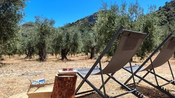 Parco della struttura