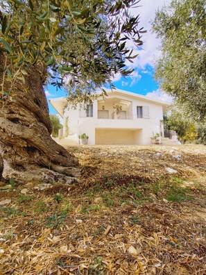 Un bâtiment à deux étages doté d’un balcon, entouré d’oliviers et d’herbes sèches.