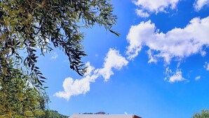 A two-story house with a covered porch, a staircase, and potted plants. - Villa 'Meridiana Case Al Mare' with Sea View, Private Terrace and Air Conditioning (Mattinata)
