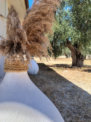 Detalhe da fachada