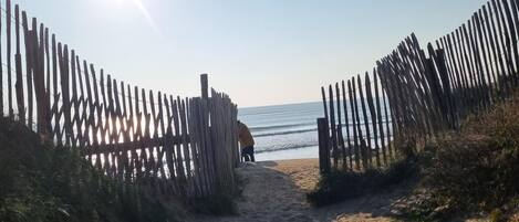 Ligstoelen aan het strand