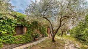 A stone pathway leading to a rustic building with a window covered by green vines.
