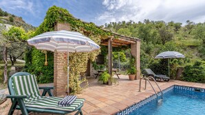 A poolside area with a lounge chair, a pergola with vines, and a pool with a tiled edge.