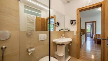 A modern bathroom with a glass shower enclosure, a toilet, a sink, and a mirror.