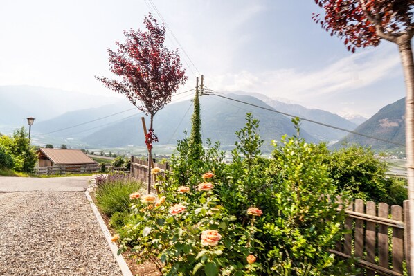 Property grounds - Holiday Apartment "Langstein Sonnenblume" with Mountain View, Balcony & Wi-Fi (Coldrano)