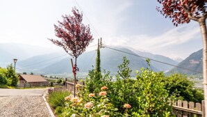 A rural road with a wooden fence, a small building, and a view of mountains in the distance. - Apartment "Langstein Rose" with Mountain View, Balcony and Wi-Fi (Coldrano)