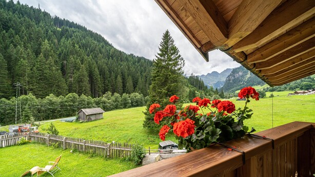 A wooden balcony with a view of a green field, a wooden fence, and a mountain in the background. - Holiday Apartment "Larch Soge Apt Paula" with Mountain View, Private Terrace & 2 Balconies (Racines)