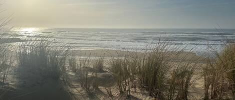 Playa en los alrededores