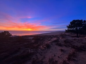 Vlak bij het strand
