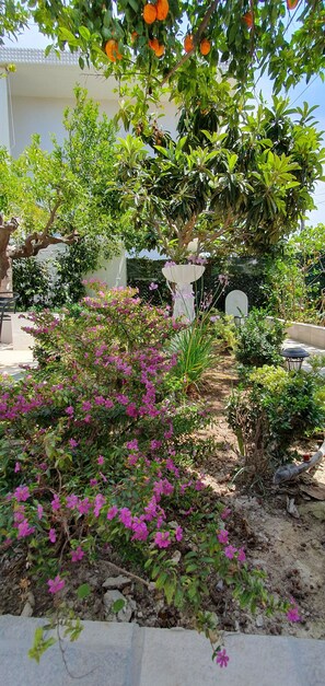 Overnattingsstedets uteområder