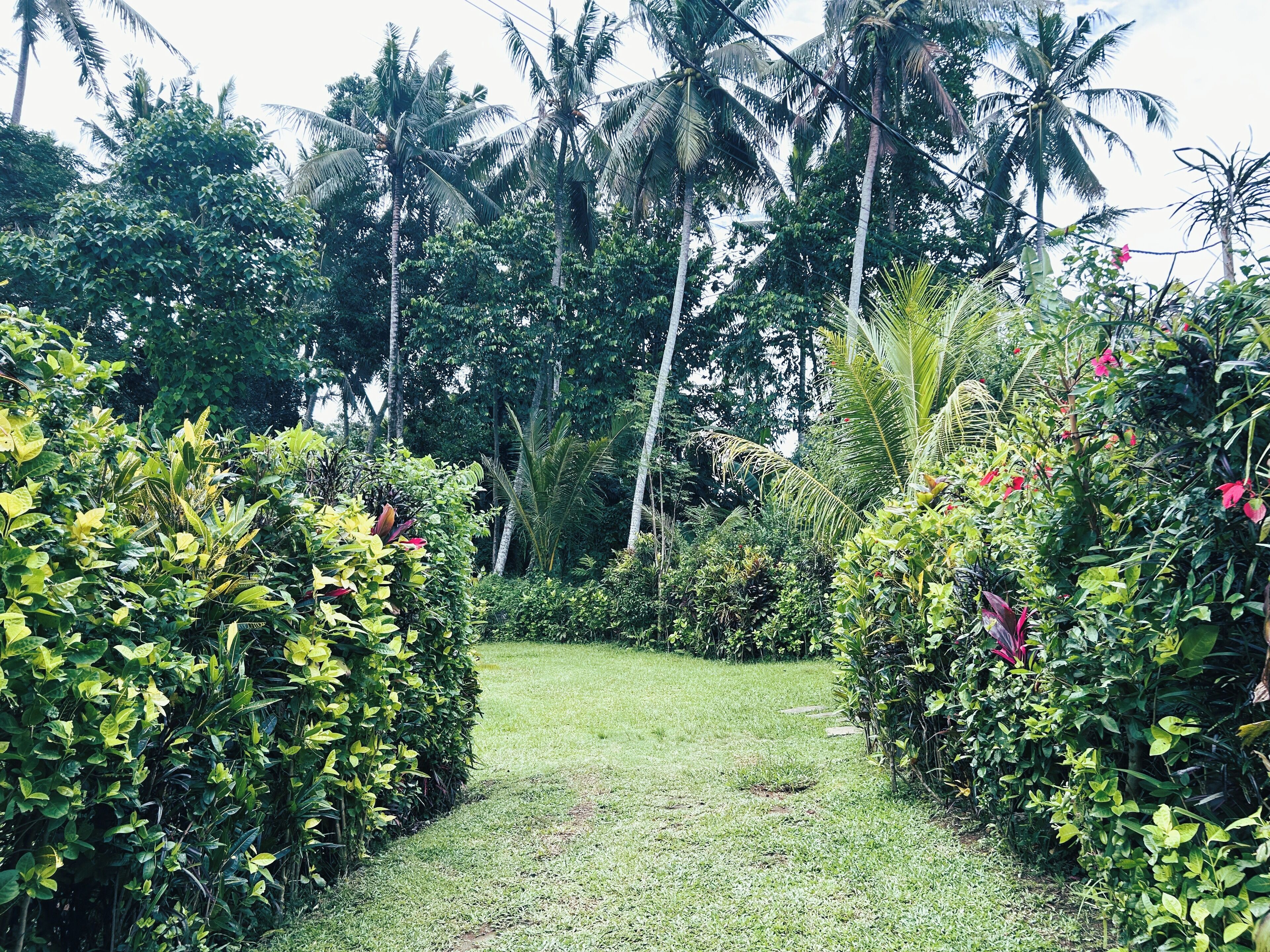 Photo - Entire 4-Pavilion Villa For 12-Plus Pax - Ambary Ubud