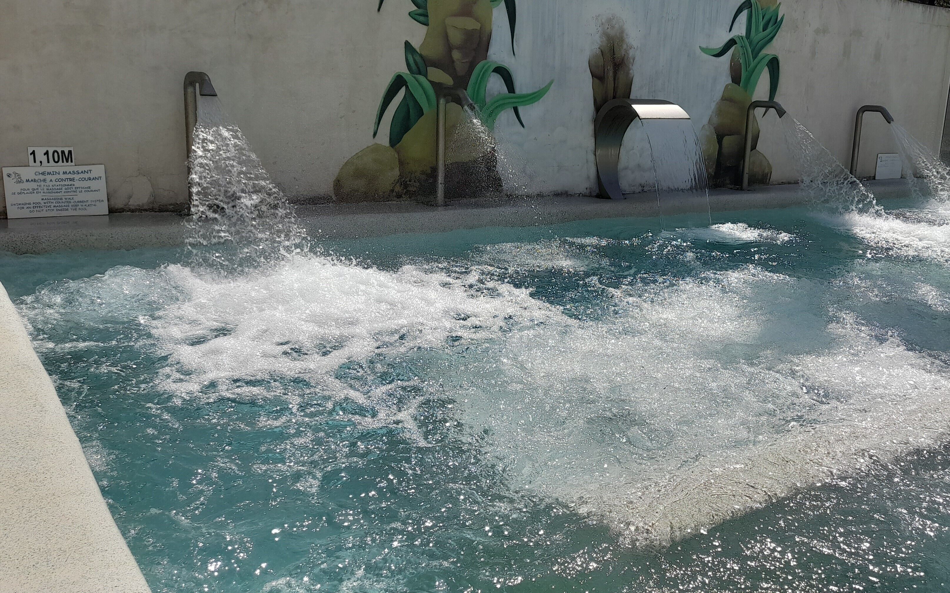 Une piscine dotée de jets d’eau et d’une fresque représentant des plantes sur le mur.
