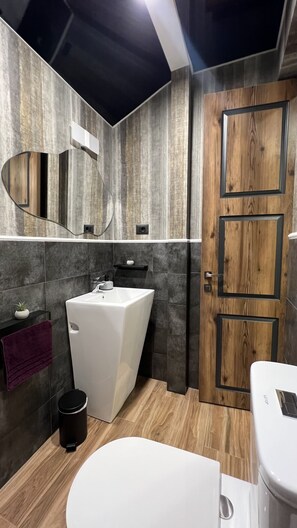 Shower, hair dryer, bidet, towels - With modern amenities, plenty of space, panoramic window. Pet friendly. (Yerevan)