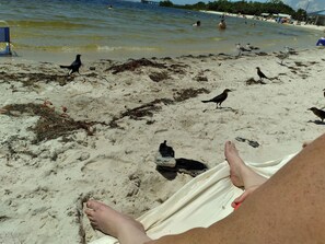 Beach - COME SWIM W/ THE MANATEES-MINS. FROM THE GULF (Dunnellon)