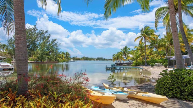 Une plage avec des bateaux, des palmiers et un lac paisible.