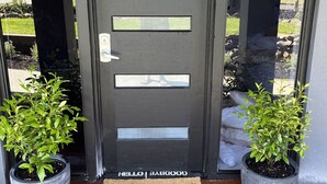Une porte noire moderne, avec un paillasson et deux plantes en pot de chaque côté.