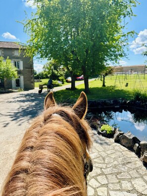 Áreas de la propiedad
