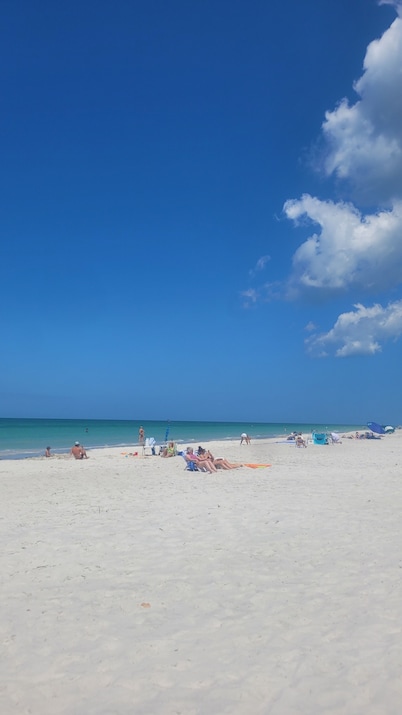 Newly remodeled and 6 minutes from Indian Rocks Beach and the Gulf Coast! 