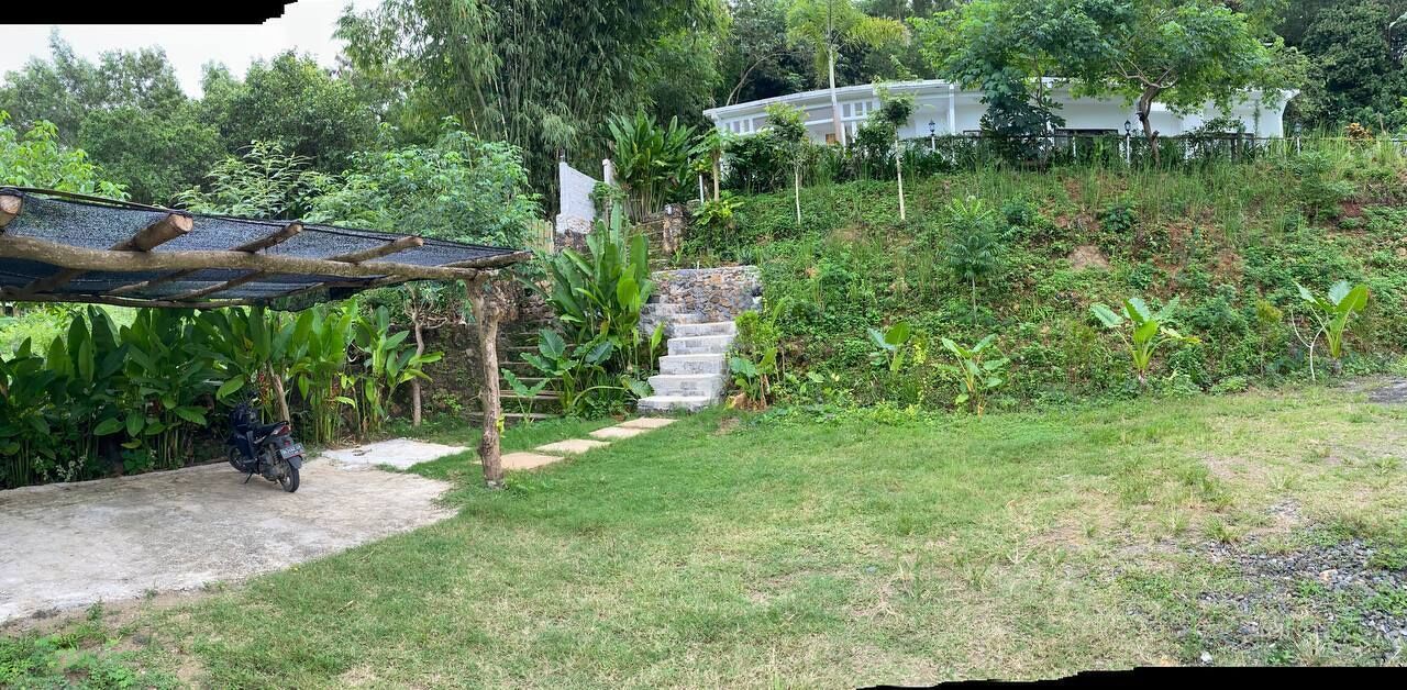 A garden with a concrete path leading to a stone staircase.