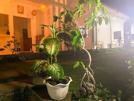 Fachada del alojamiento