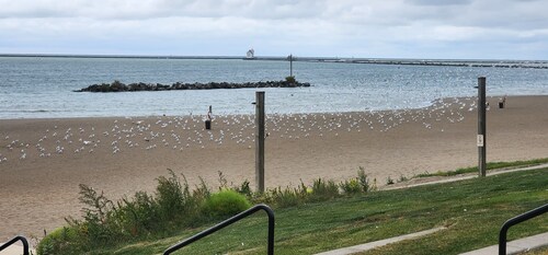 Lakeview Beach Bungalow
Lighthouse/3 Beds/Game Room/Pets
Entry Ramp available