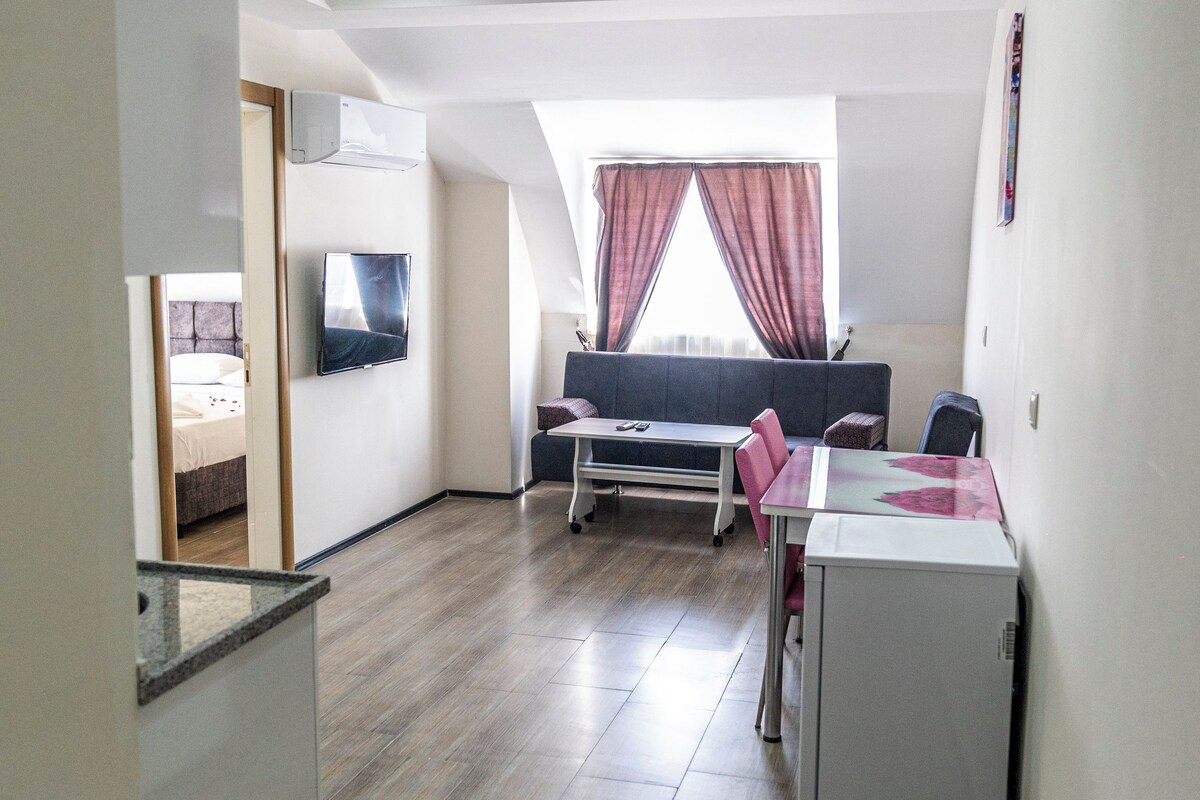 A modern apartment with a dining area, a small kitchen, and a living room with a sofa and TV.