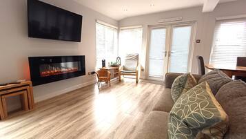 Smart TV, fireplace, books