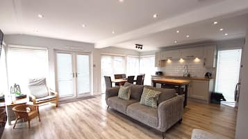 Smart TV, fireplace, books