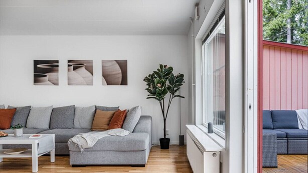 A modern living room with a grey sofa, a coffee table, and a potted plant.