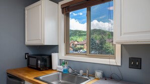 A kitchen with a stainless steel sink, a microwave, and a window with a view of a green landscape.