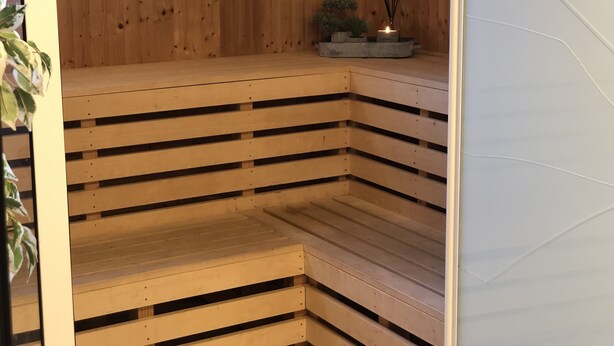 Puisesta laudelavasta ja pienestä hyllyllä olevasta kasvista koostuva sauna.