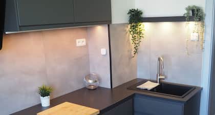 Grand appartement rénové à moins de 15 min du centre ville. Parking gratuit.