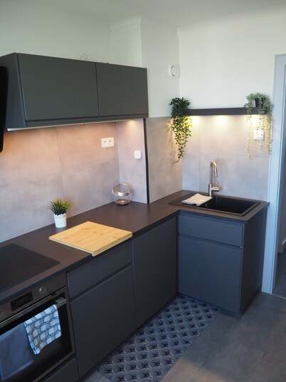 Bel Appartement 4 Pièces Entièrement Rénové