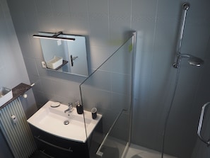 Hair dryer, towels, soap, shampoo - Bel Appartement 4 Pièces Entièrement Rénové (Strasbourg)