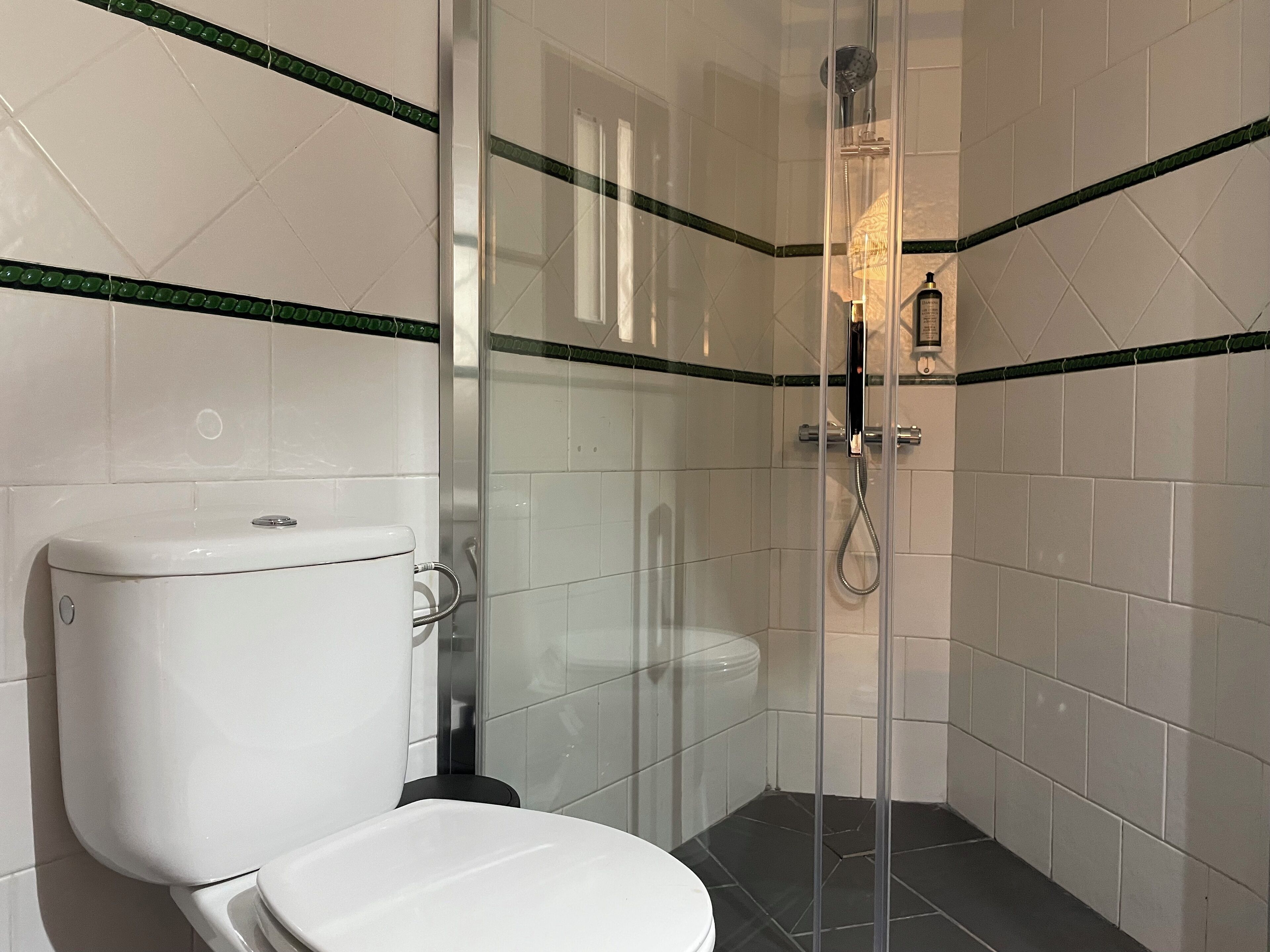 Baño con inodoro, ducha con mampara de vidrio y paredes de azulejos.