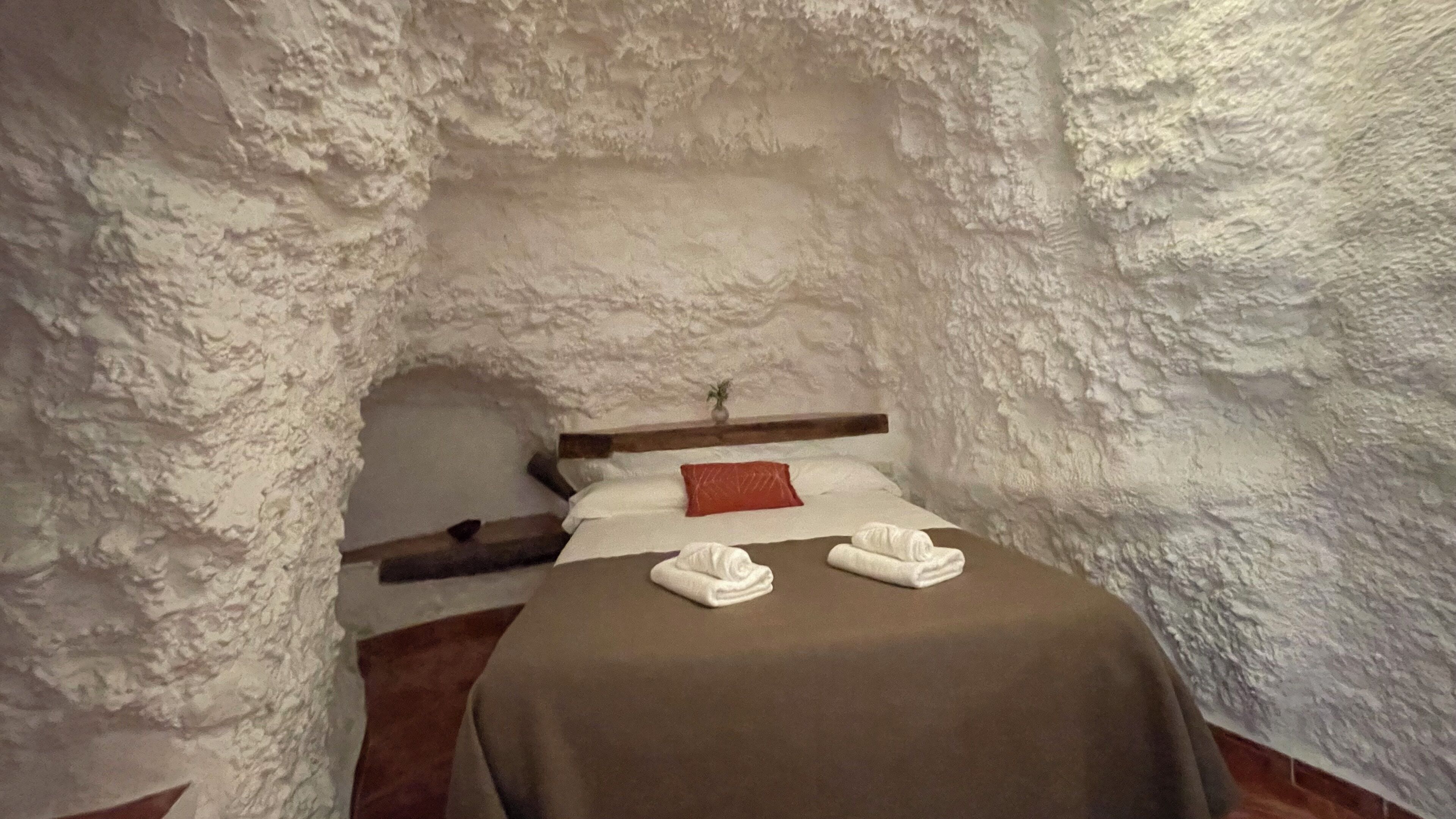 A room with a bed, a wooden bench, and a small plant.