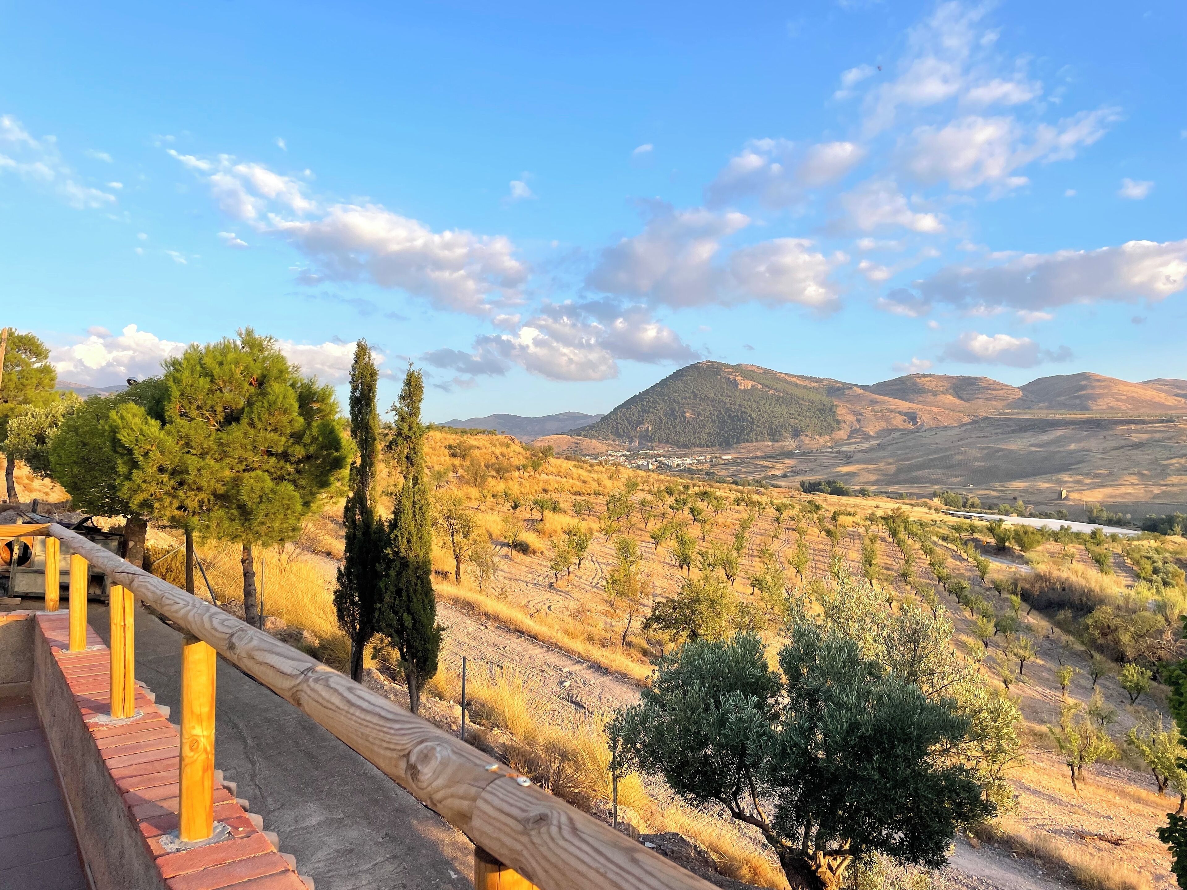 Uitzicht vanuit accommodatie