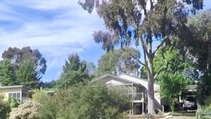 Et hus med et stort træ foran, en sø og en klar himmel.