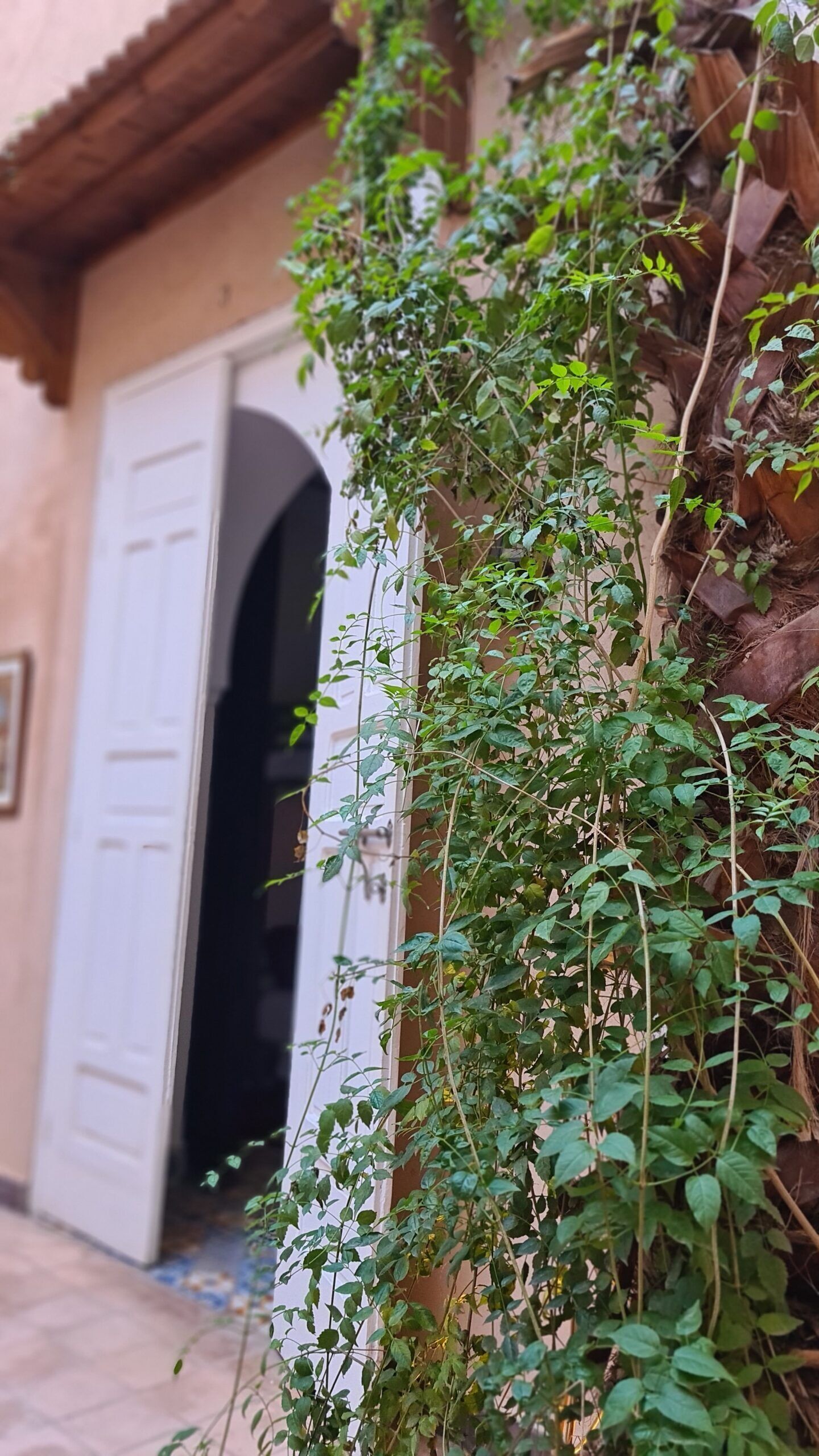 Photo - Hostel Laksour