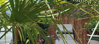 T2 Avec Jardin Terrasse et vue sur la Montagne